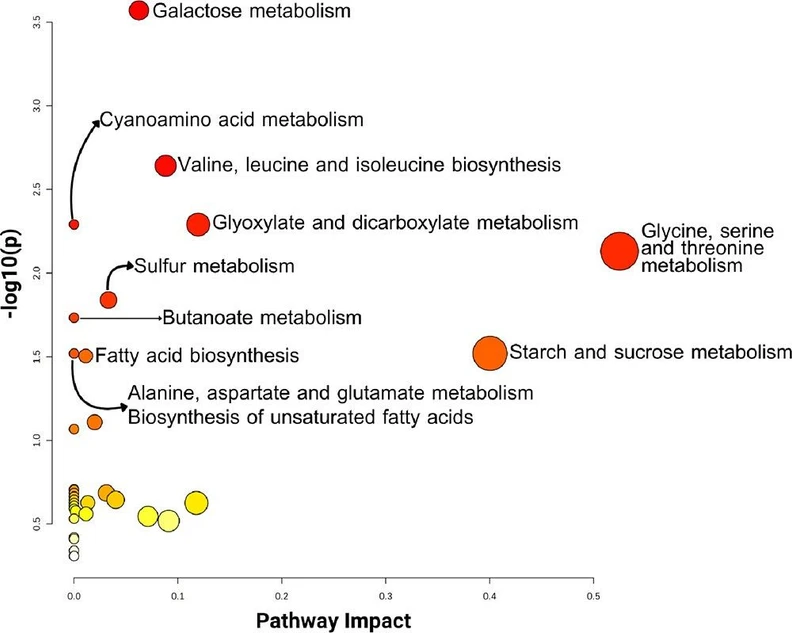 ACS Agric. Sci. Technol. 2026, 6, 1, 83–91: Figure 2. Metabolic pathway analysis overview. The analysis took into consideration the significant metabolites identified previously in this work. The color of the circles represents −log(p), with red being the highest, while the size of each circle is proportional to the impact of the pathway.