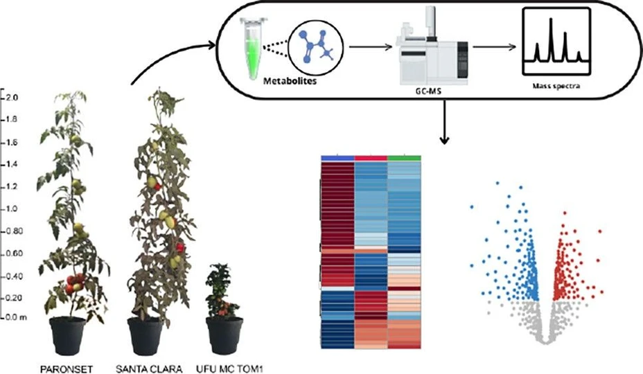 <p>ACS Agric. Sci. Technol. 2026, 6, 1, 83–91: Graphical abstract</p>