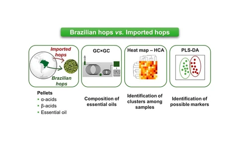 Comparative Assessment of the Chemical Composition of Locally Cultivated and Imported Hops (Humulus lupulus L.) in Brazil Using Chemometrics