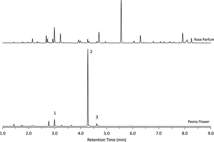 ACS Meas. Sci. Au 2025: Figure 8. Chromatogram of headspace analysis by SPME of peony flower and rose parfum. The rose alcohols are identified as 1-PEA, 2-citronellol, and 3-geraniol.