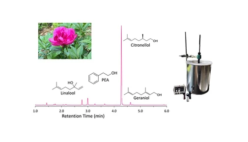 Determination of Rose Alcohol Composition in Extracts and Flowers via Headspace Solid-Phase Microextraction and GC-MS