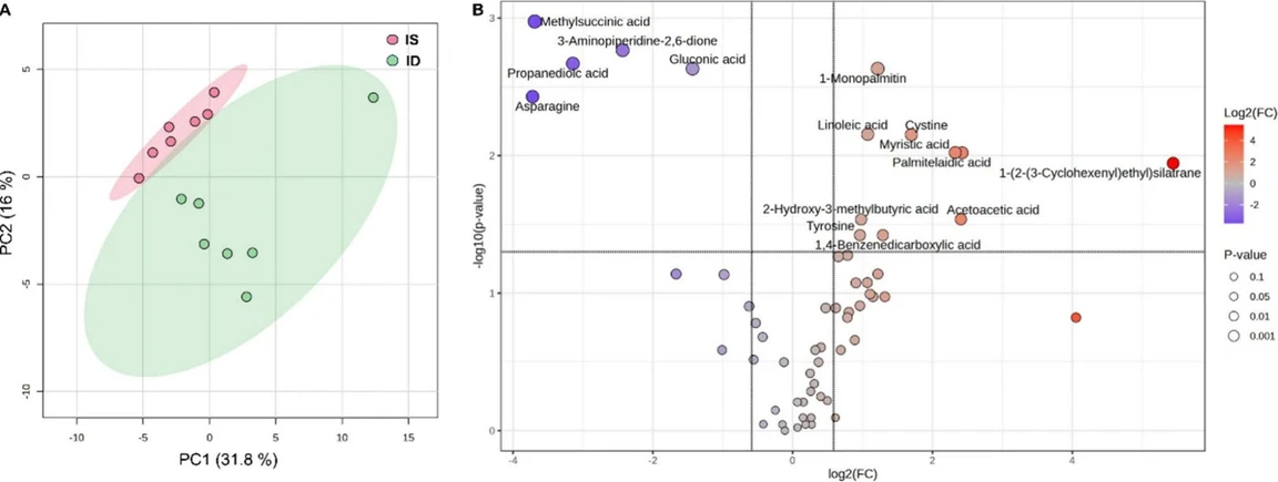 ACS Nutr. Sci. 2026, 1, 1, 28–35: Figure 2. Metabolomic differences between preoperative iron sufficient and iron deficient groups. (A) After principal component analysis, a scatter plot was constructed using principal components (PC) 1 and 2, which respectively explained 31.8% and 16% of the variation of the metabolomic data. Red dots represent women in the iron sufficient group (IS) and green dots represent women in the iron deficient group (ID) at the presurgery moment. Ellipses indicate a confidence interval of 95%. (B) Volcano plot shows log 2 of the fold change calculated as a ratio of ID/IS in x-axis and −log 10 of p-values in the y-axis. Blue dots indicate metabolites with a lower abundance and red dots represent metabolites with an increased abundance in the ID (n = 7) group compared to the IS (n = 7) group.