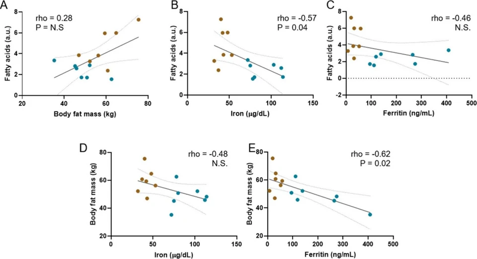 ACS Nutr. Sci. 2026, 1, 1, 28–35: Figure 3. Relationship between circulating fatty acids, body fat mass and iron status in presurgery moment. Pearson correlation analysis was performed using presurgery data of total circulating fatty acids with body fat mass (A), serum iron (B), or serum ferritin (C). Correlation between body fat mass and serum iron (D) or serum ferritin (E) was also evaluated. Brown dots represent samples of the ID group (n = 7) and blue dots represent samples of the IS group (n = 7). Solid line shows linear relationship and dotted line represent 95% confidence interval.
