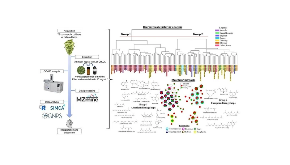 <p>ACS Omega 2025, 10, 40, 47281–47291: Graphical abstract</p>