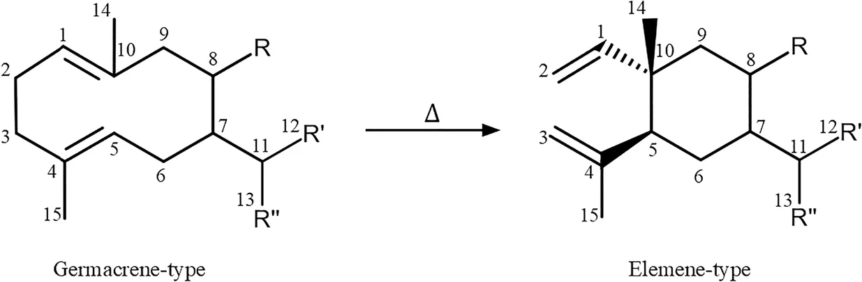ACS Omega 2025, 10, 48, 59425–59434: Figure 1. [3,3]-Sigmatropic rearrangement of Germacrene-type into Elemene-type.
