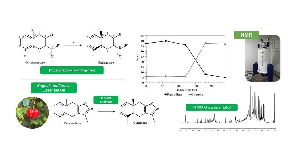 <p>ACS Omega 2025, 10, 48, 59425–59434: Graphical abstract</p>