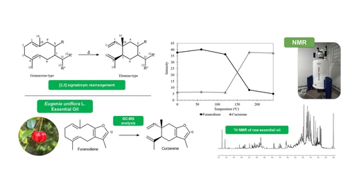 Is Curzerene Responsible for the Bioactive Properties of Eugenia uniflora? A Possible Misinterpretation of Bioactive Markers