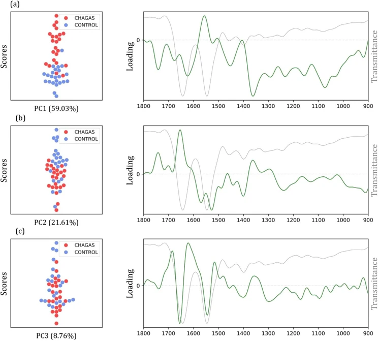 ACS Omega 2026, 11, 23, 34318–34326: Figure 5. PCA score and loading plots obtained from the preprocessed data of control (noninfected) and Chagas disease groups for (a) PC1 explaining 59.03% of the variance, (b) PC2 explaining 21.61% of the variance, and (c) PC3 explaining 8.76% of the variance. In the background of the loading plots, the mean spectrum of one of the groups is displayed to facilitate peak comparison.