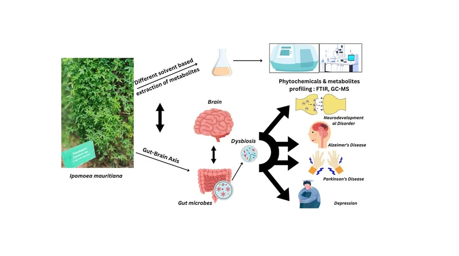 <p>ACS Omega 2026, 11, 3, 4021–4036: Graphical abstract</p>