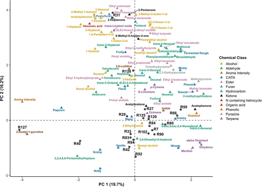 ACS Omega 2026: Figure 4. Multiple factor analysis (MFA) of the top 20 rice genotypes with the highest overall aroma intensity, integrating sensory aroma attributes and volatile compound data.