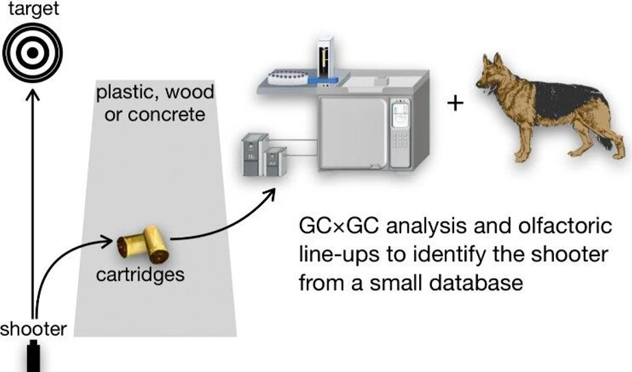 <p>Anal. Chem. 2025, 97, 7, 3799–3803: Graphical abstract</p>