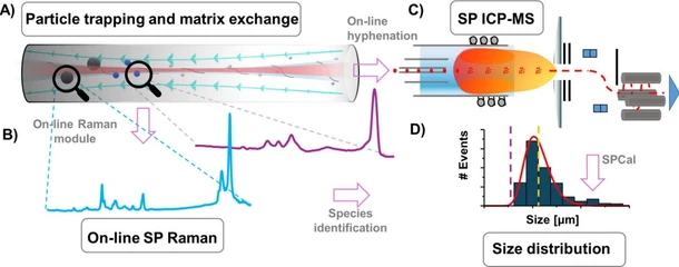 Optical Extraction of Single Microplastics Followed by Online Molecular and Elemental Characterization