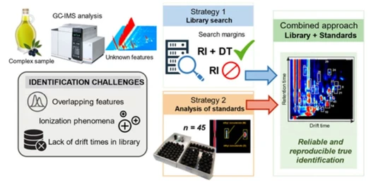 Analytical Challenges and Strategies for Compound Identification Using Gas Chromatography–Ion Mobility Spectrometry