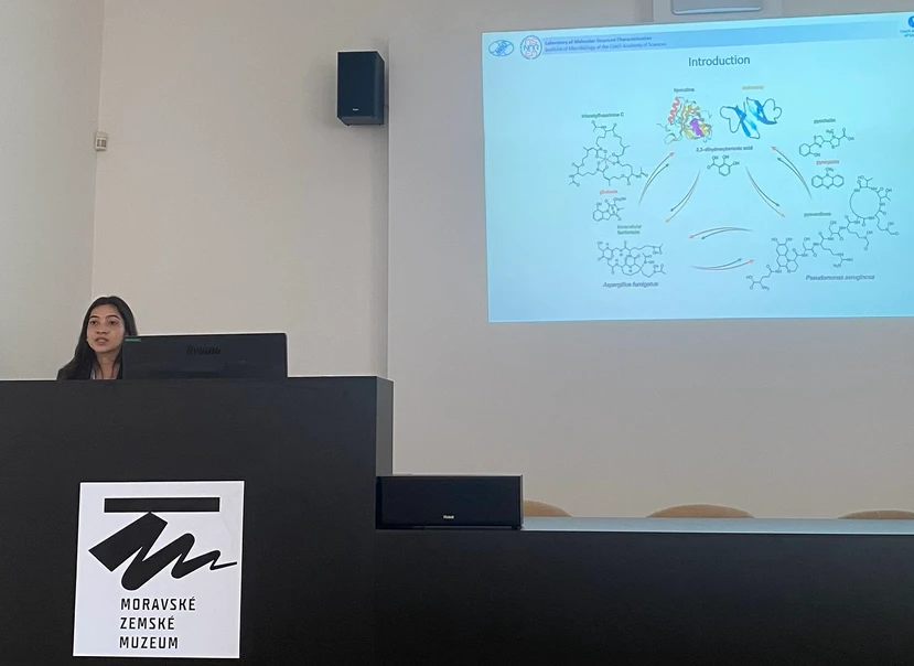 ČSHS: Aspergillus fumigatus and Pseudomonas aeruginosa interplay at a host interface (Rutuja Patil)