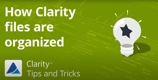 Clarity File Storage and Organization: A Complete Guide