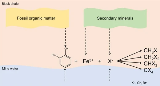 Emissions of Halomethanes from Bioweathered Lopingian Kupferschiefer Black Shale (Fore-Sudetic Monocline, SW Poland)