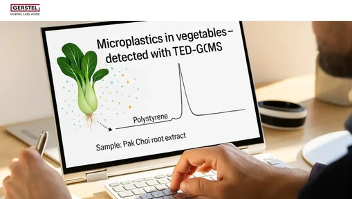 Micro- and Nanoplastics in Vegetables: Detection Using TED-GC/MS