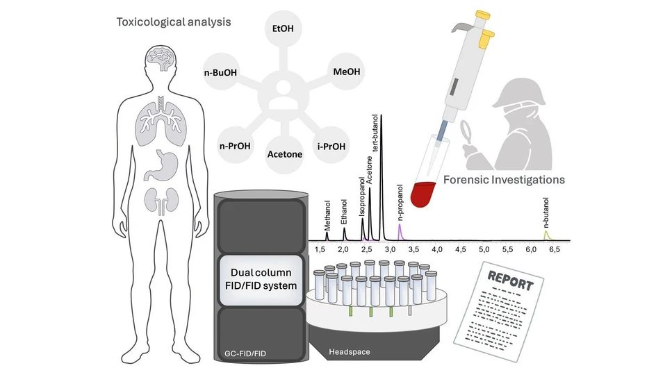 <p>J. Xenobiot. 2026, 16(3), 80: Graphical abstract</p>