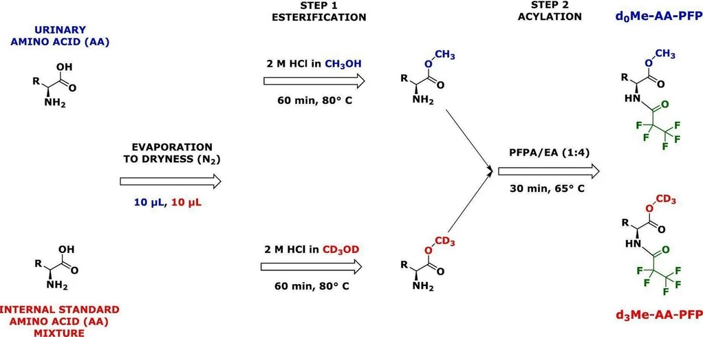 <p><strong>Journal of Chromatography B, Volume 1262, 2025, 124661: </strong>Graphical abstract</p>