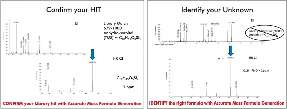 LECO Chemical Ionization Source
