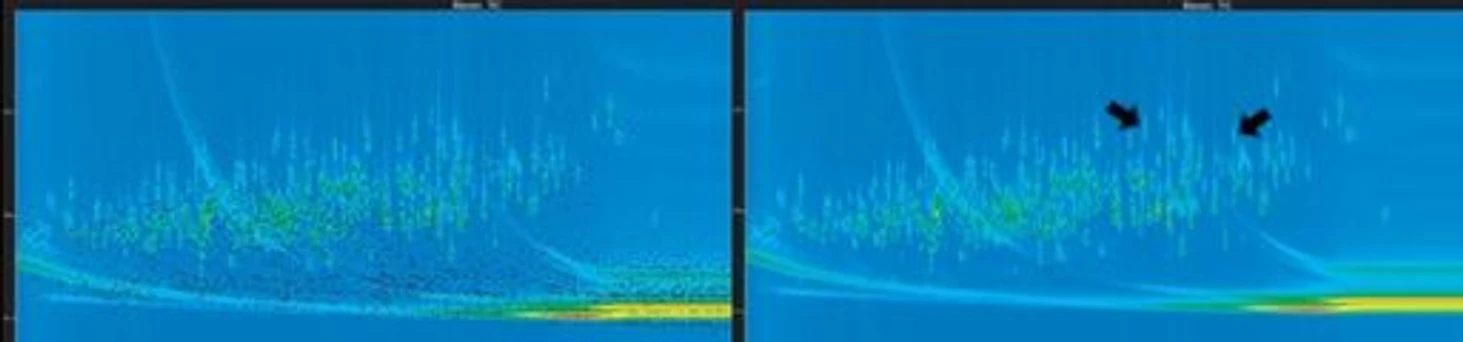 LECO: Identification Grading System