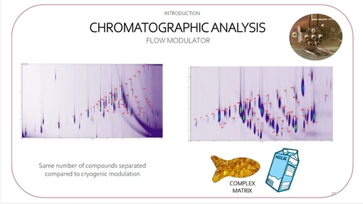 MW extraction and derivatization & GCxGC-FID for FAMEs in food (Donatella Ferrara, MDCW 2025)