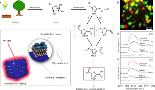 A new generation of solar catalyst converts biomass into raw materials for bioplastics