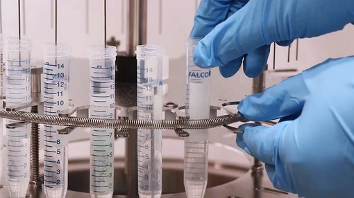 Is Your University Lab Losing Time and Data in Sample Prep? Here’s How to Fix It