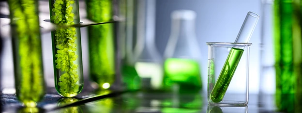 Microplastics and Nanomaterials: Understanding Emerging Contaminants in Environmental Testing