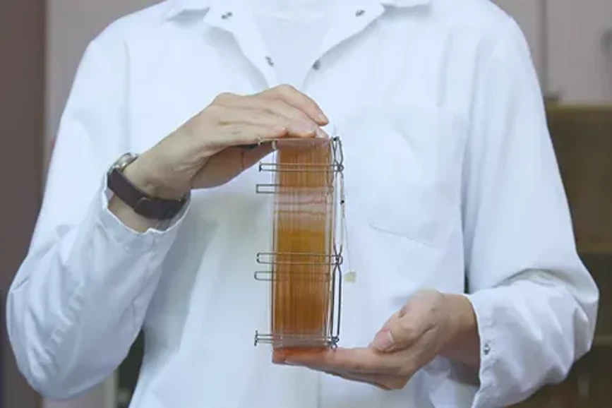 <p><strong>Phenomenex: </strong>How to Protect Your GC Column - Part 2</p>