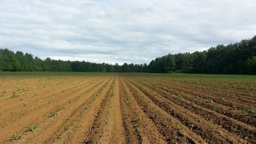 Study reveals soil's role in air pollution and human health hazard