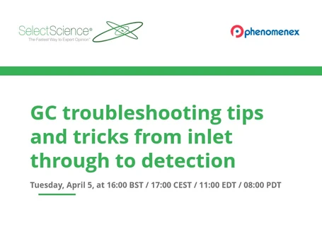 GC troubleshooting tips and tricks from inlet through to detection