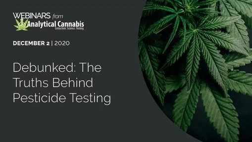 Debunked: The Truths Behind Pesticide Testing