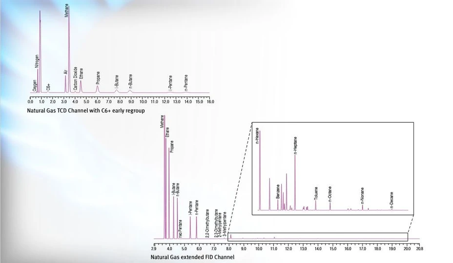 Thermo Scientific TRACE 1310 GC Analyzers for Dissolved Gases