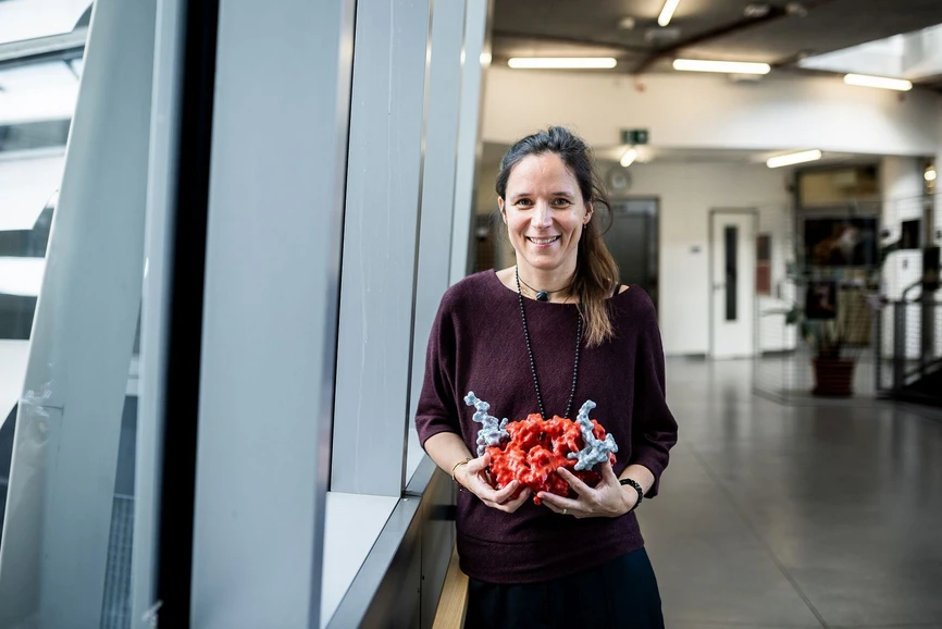 <p><strong>Tomáš Belloň/IOCB Prague: </strong>Dr. Klára Hlouchová, head of the PROTOCELL project&nbsp;</p>