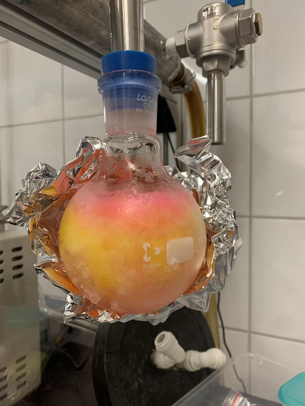 IOCB: The photo shows a flask containing fluorescently labeled glutathione. Glutathione is a small tripeptide and one of the most important antioxidants in cells – it helps neutralize free radicals and protects cells from oxidative stress. In our research, it served as a model molecule to test a new labeling method. While glutathione consists of three amino acids, by the end of the project, we were able to label a protein containing 583 amino acids. This sample, therefore, represents an important milestone of the project – the moment we confirmed that our method truly works. The image captures the lyophilization step, during which the peptide is being dried after conjugation. The visible transition from yellow to red color is related to changes in the fluorophore’s environment as the sample dries.