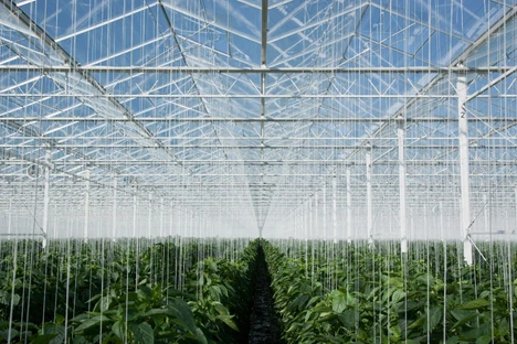 Wiley Pesticides Mass Spectral Library With LRI, 2nd Edition