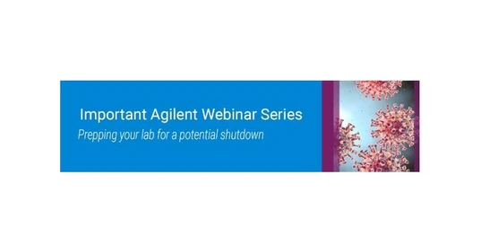 GC and GC/MS analysis