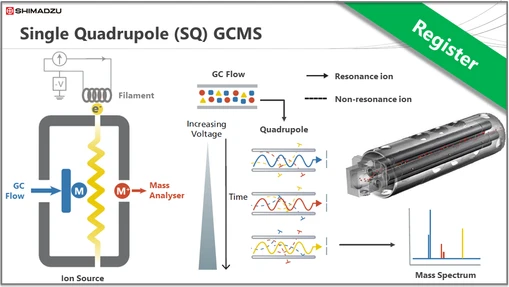 Shimadzu Theory & Key Principles Series - GCMS Session 2: Single Quadrupole (SQ) GCMS