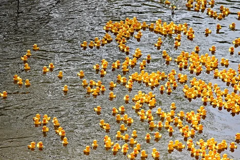 TED-GC/MS, Thermal Extraction and –Desorption combined with Gas Chromatography-Mass Spectrometry, a novel technique for the determination of microplastics in water