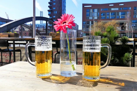 Sample Preparation and Chromatographic Approaches to Quality and Sensory Testing of Beer